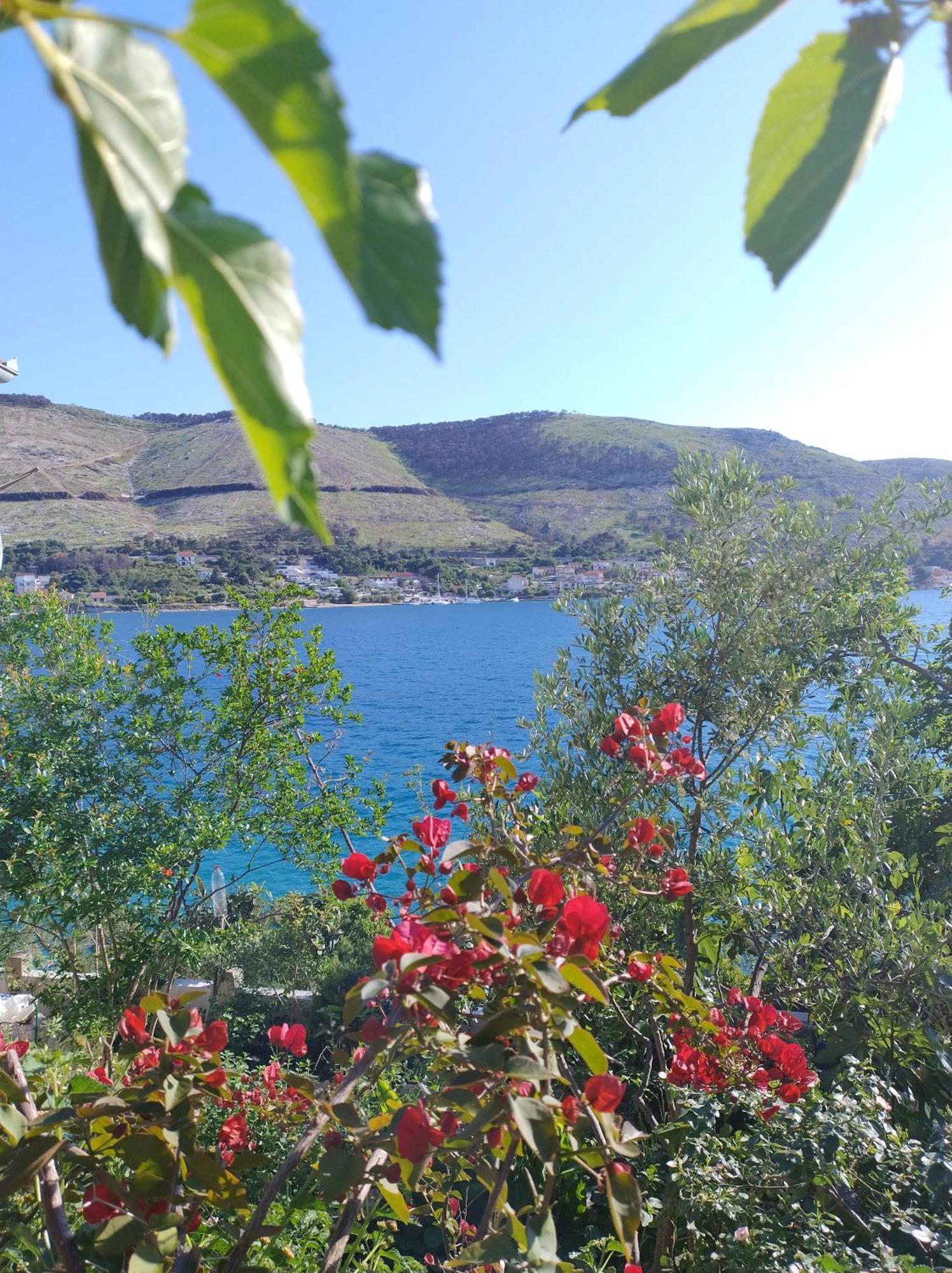 Appartamento Direkt Na Moru - Bungalov Šibenik Esterno foto